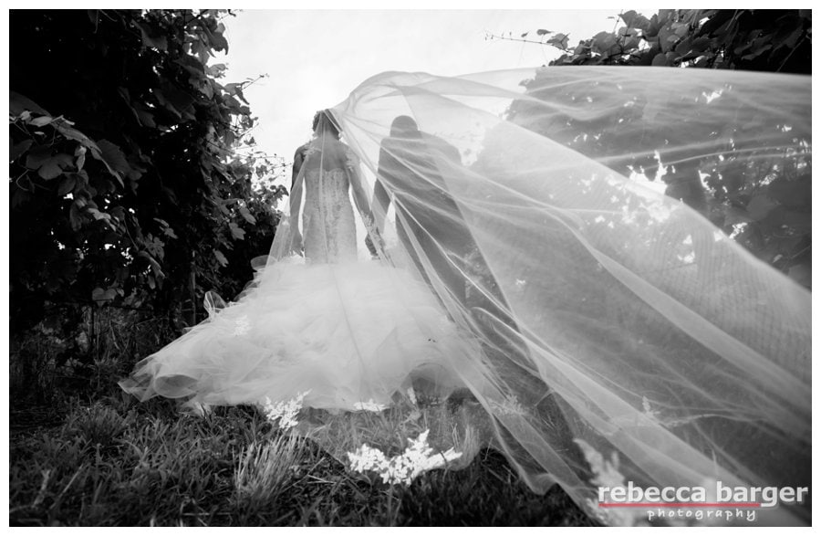 vineyard Wedding photo with long bridal veil 